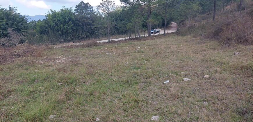 Lote 2 en venta – Proyecto Hoya Grande, Uyuca (1,882.18 v²)