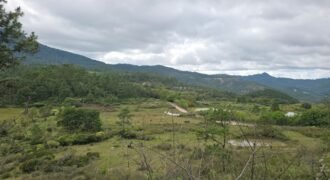 Lote 10 en venta – Proyecto Hoya Grande, Uyuca (1,877.02 v²)