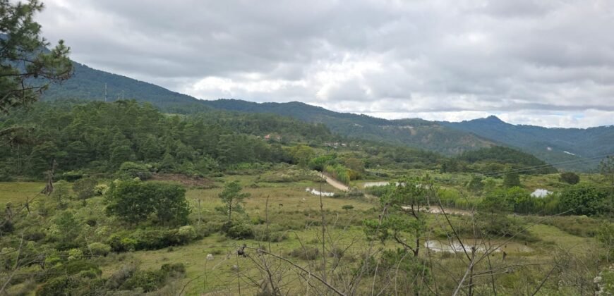 Lote 2 en venta – Proyecto Hoya Grande, Uyuca (1,882.18 v²)